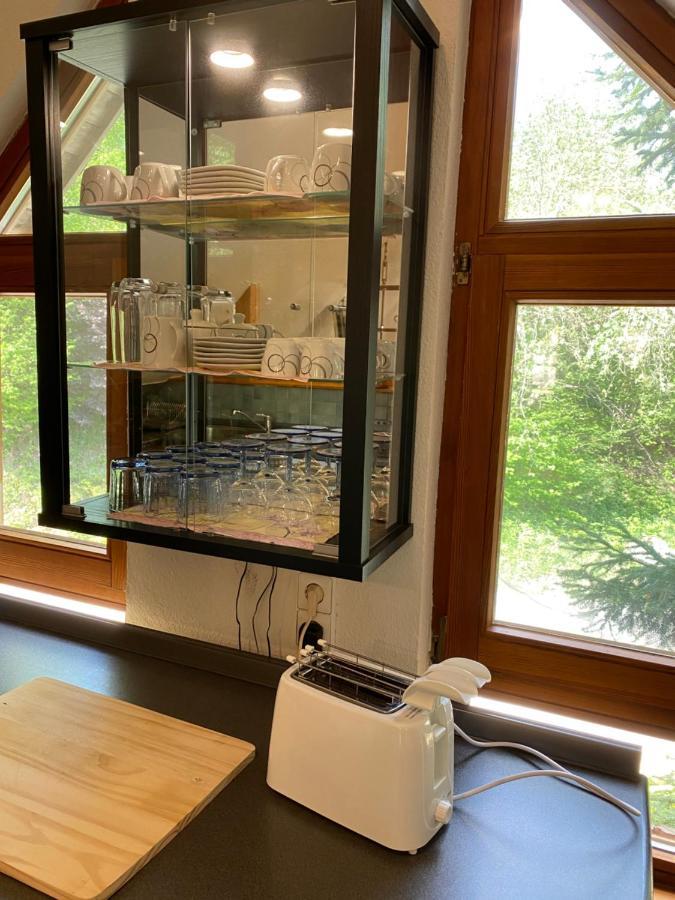 Kleines Haus Silberdistel Apartment Тодтмос Екстериор снимка