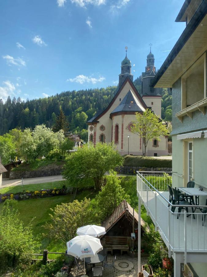 Kleines Haus Silberdistel Apartment Тодтмос Екстериор снимка